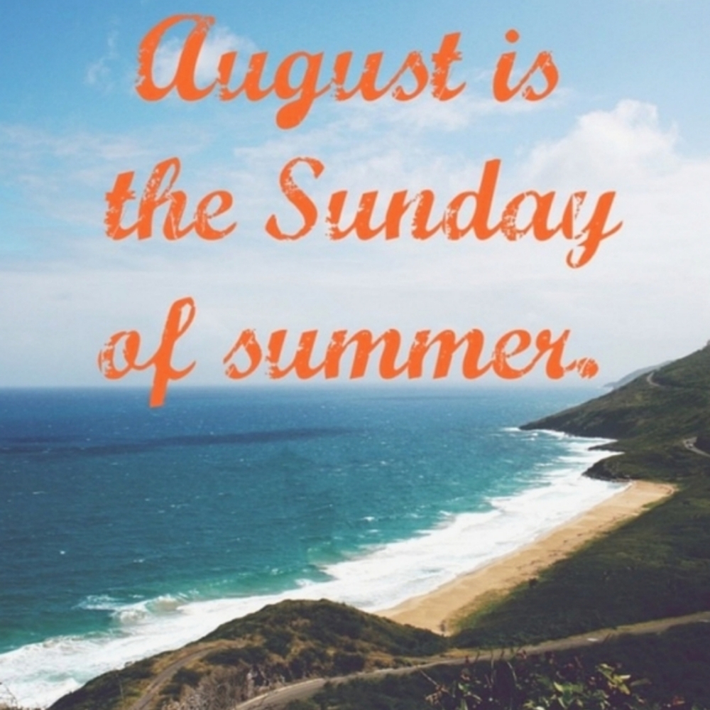 ✨Clear Out Sale ✨ - Picture 4 of 16